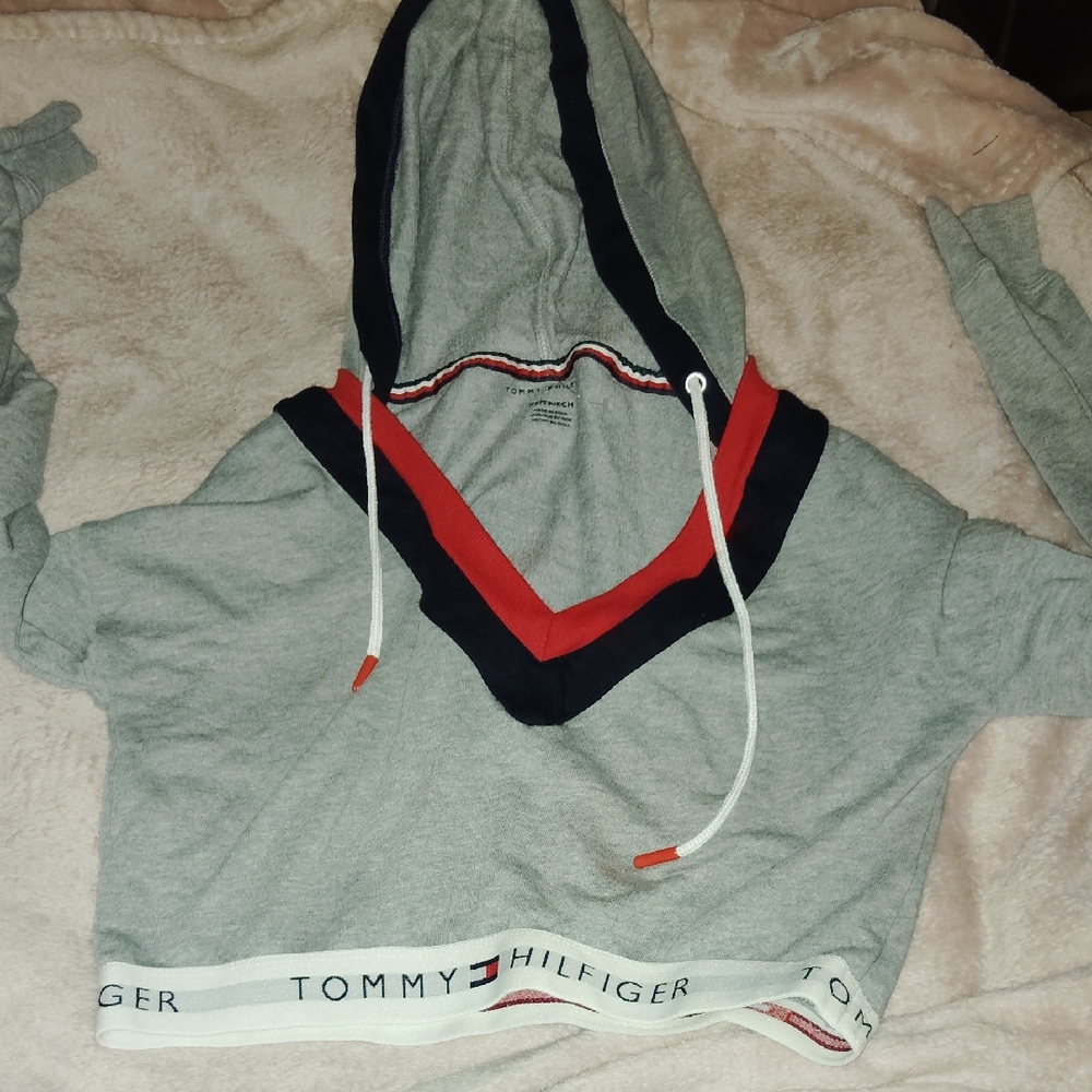 Tommy Hilfiger Gray Cropped Hoodie with Red and Navy Accents